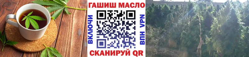 купить наркотик  Солнечногорск  Cannafood конопля 
