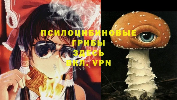 метадон Кондопога