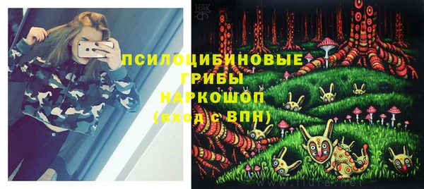 винт Осинники