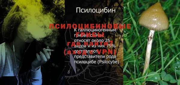 винт Осинники