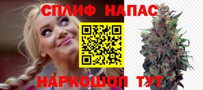 шишки Волгодонск