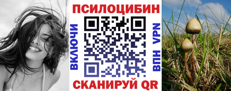 Псилоцибиновые грибы Magic Shrooms  Солнечногорск 