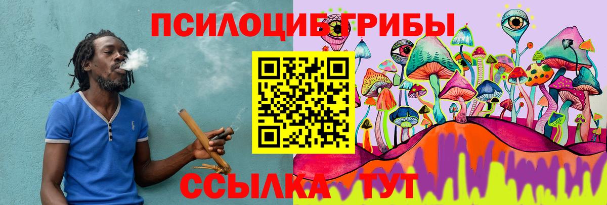 Галлюциногенные грибы Psilocybine cubensis  Псилоцибиновые грибы Cubensis  Вход с VPN  Солнечногорск 