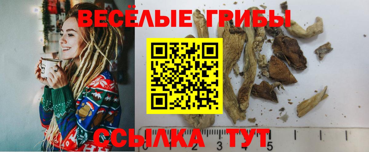 Галлюциногенные грибы мицелий Солнечногорск