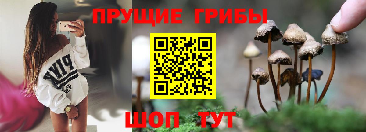Галлюциногенные грибы мухоморы Солнечногорск